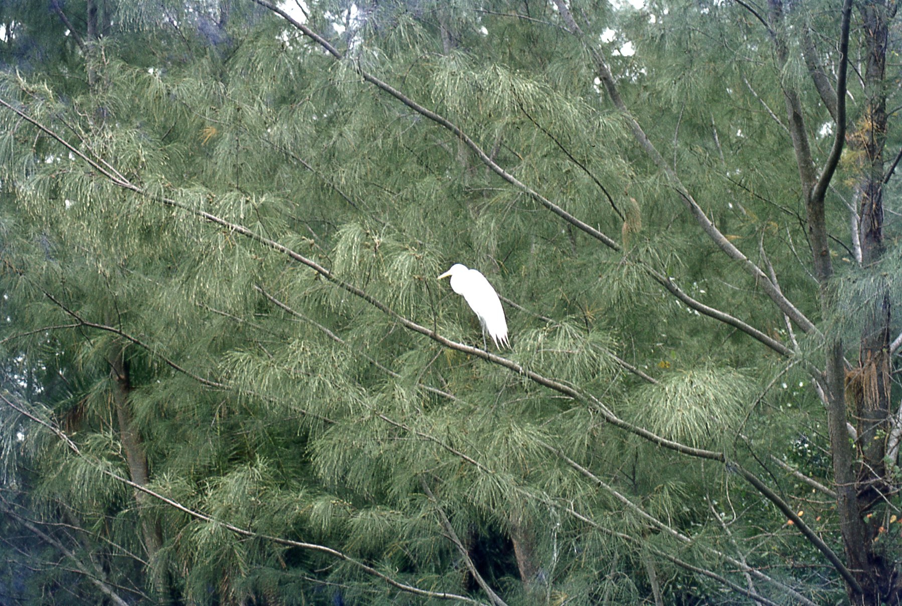 img584.jpg