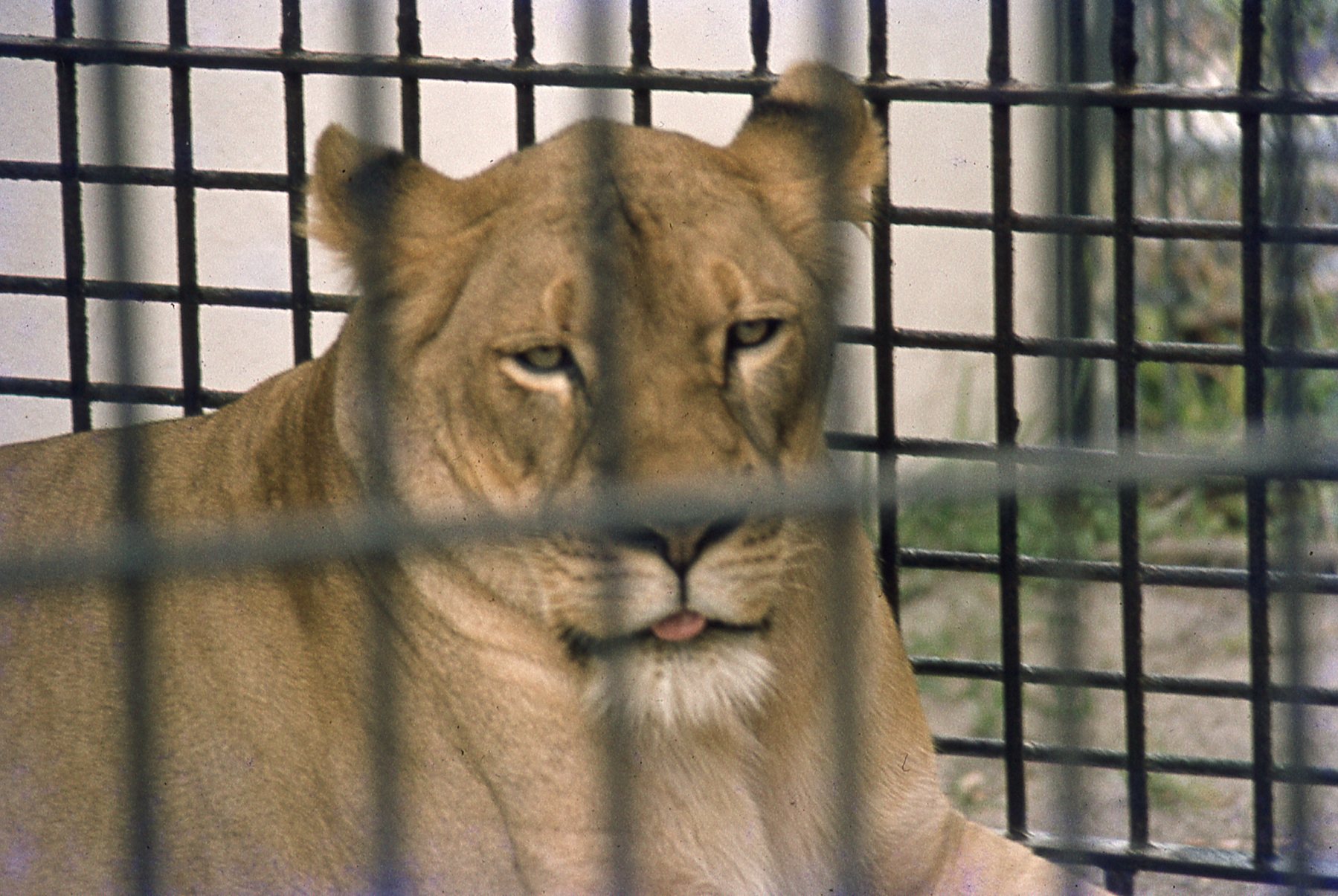 img586.jpg
