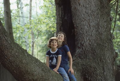 img221.jpg