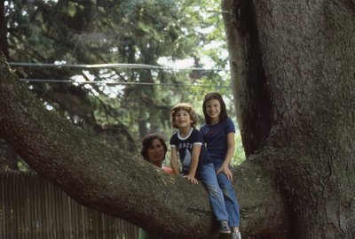 img222.jpg