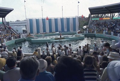 img515.jpg