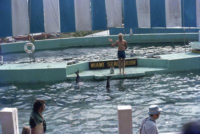 img518.jpg