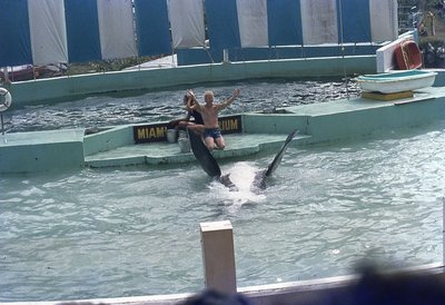 img520.jpg