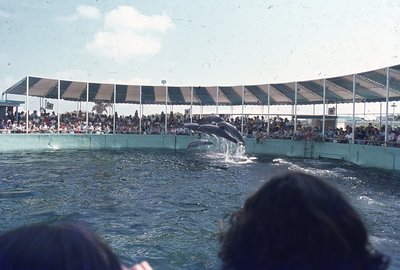 img529.jpg
