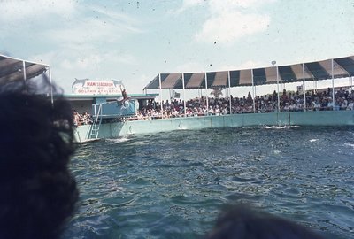 img530.jpg