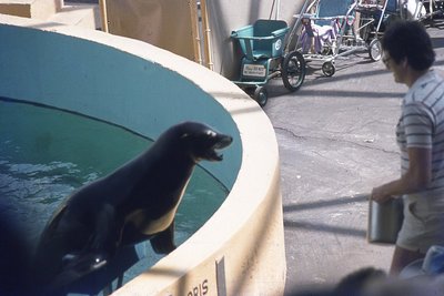img544.jpg
