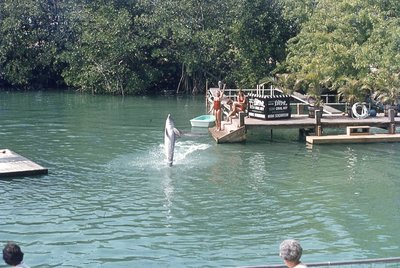 img545.jpg