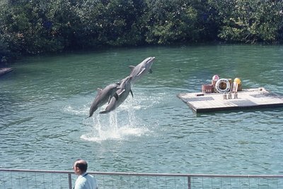 img546.jpg