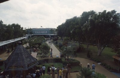 img559.jpg