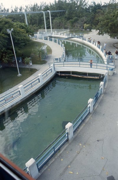 img562.jpg