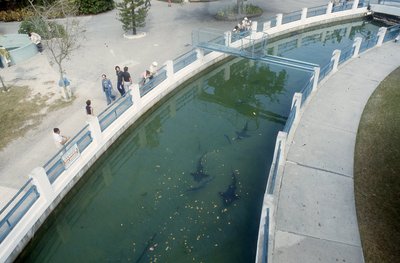 img563.jpg