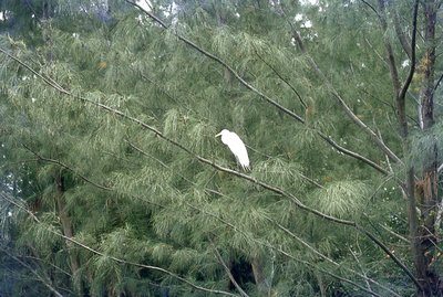 img584.jpg