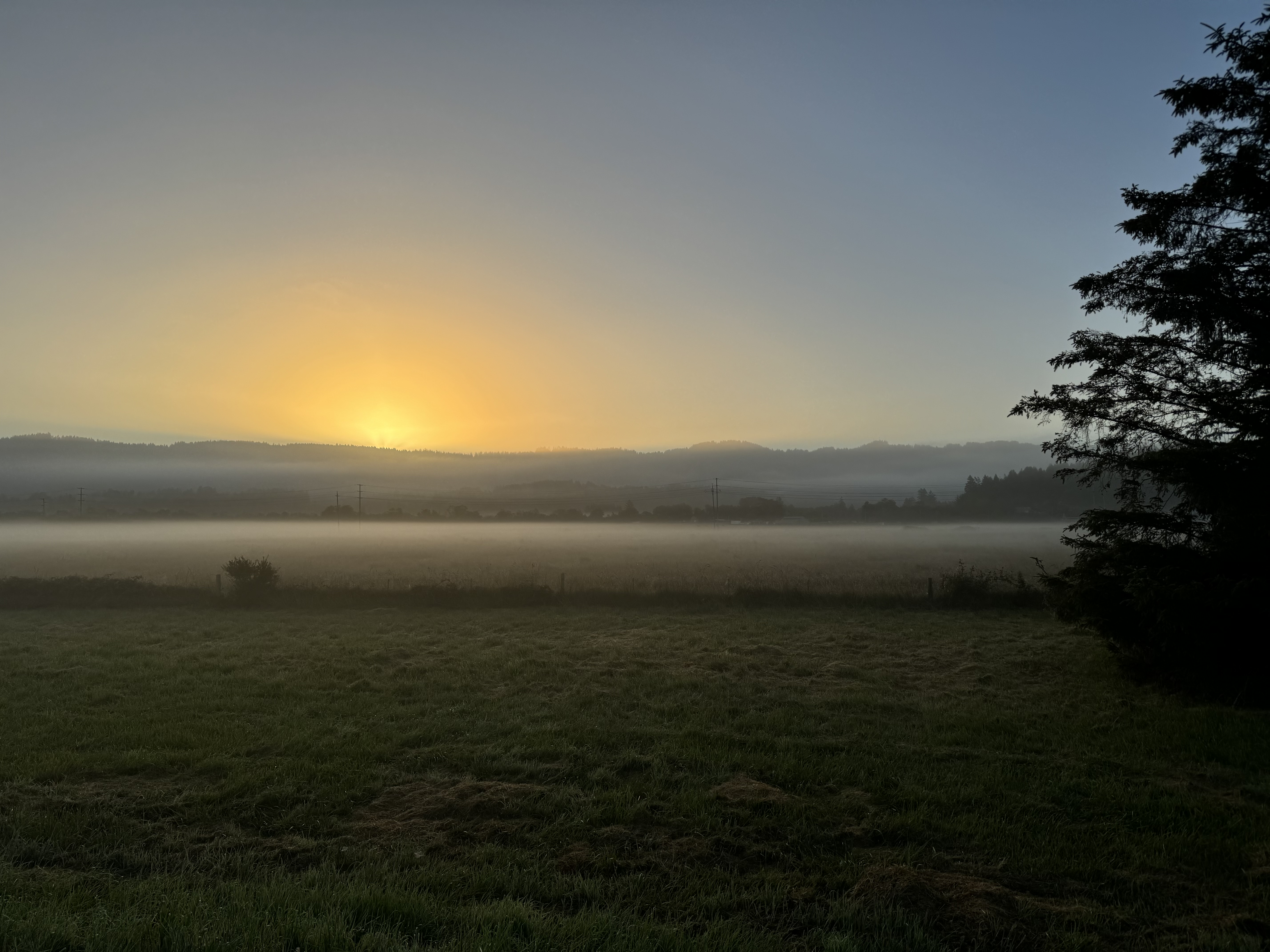 IMG_8493.jpeg