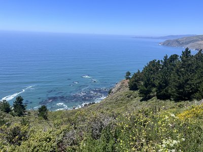 IMG_4174.jpeg