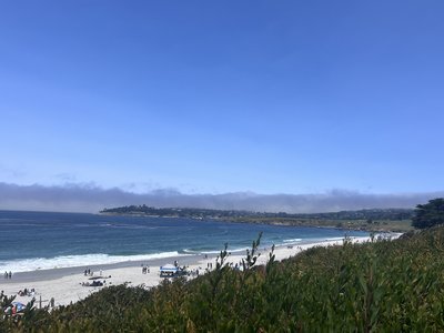 IMG_4221.jpeg