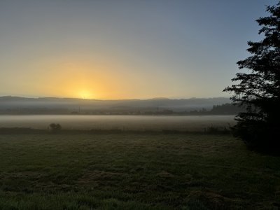 IMG_8493.jpeg