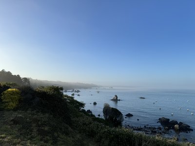 IMG_8500.jpeg