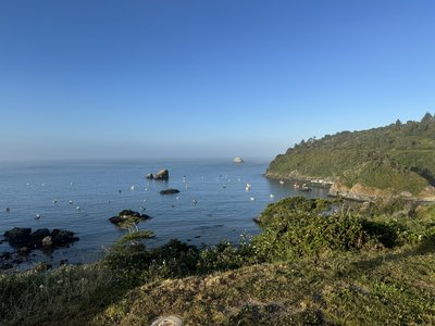 IMG_8501.jpeg
