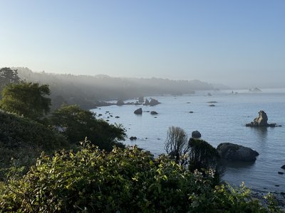 IMG_8505.jpeg