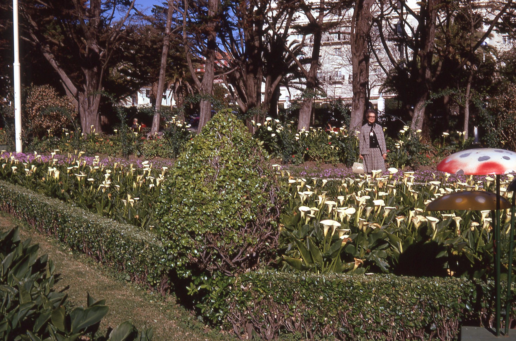 img030.jpg