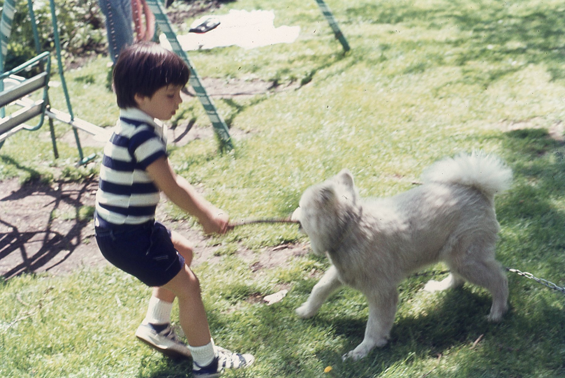 img863.jpg
