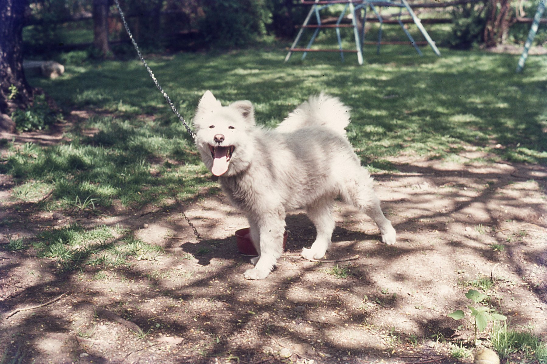 img864.jpg
