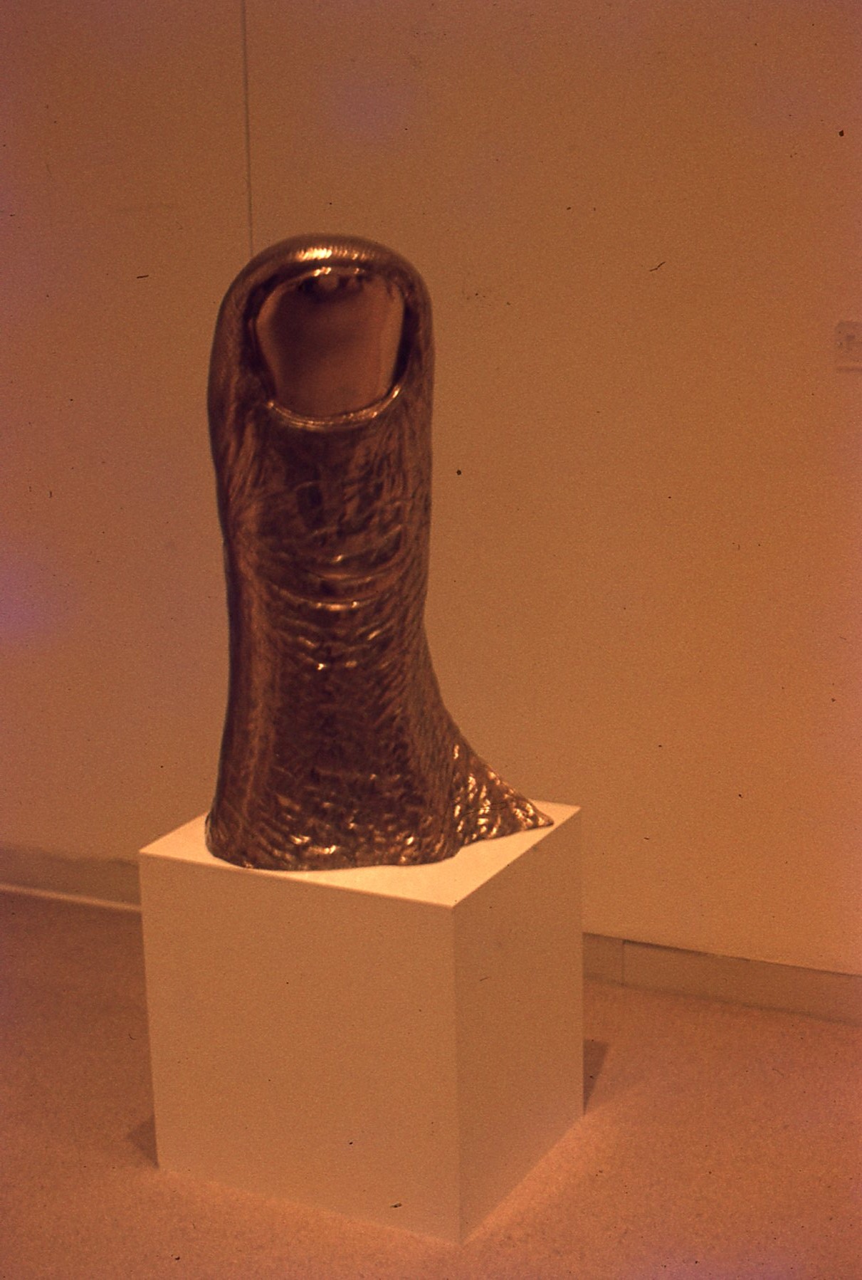 img963.jpg