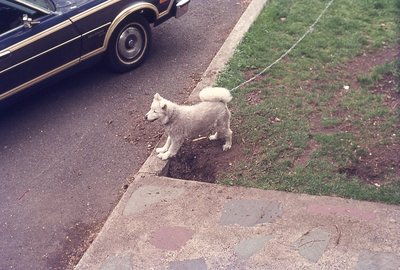 img857.jpg