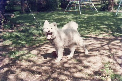 img864.jpg
