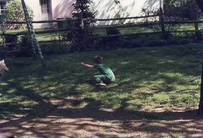 img869.jpg