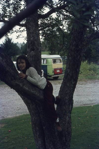 img932.jpg