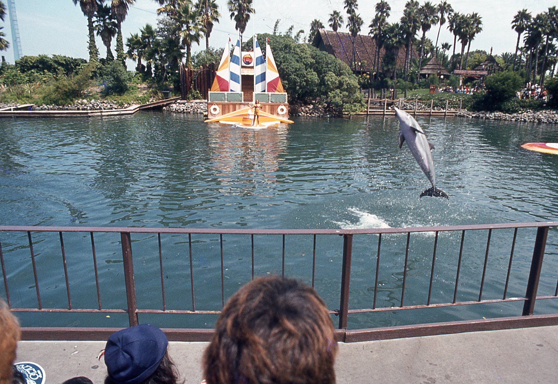 img024.jpg