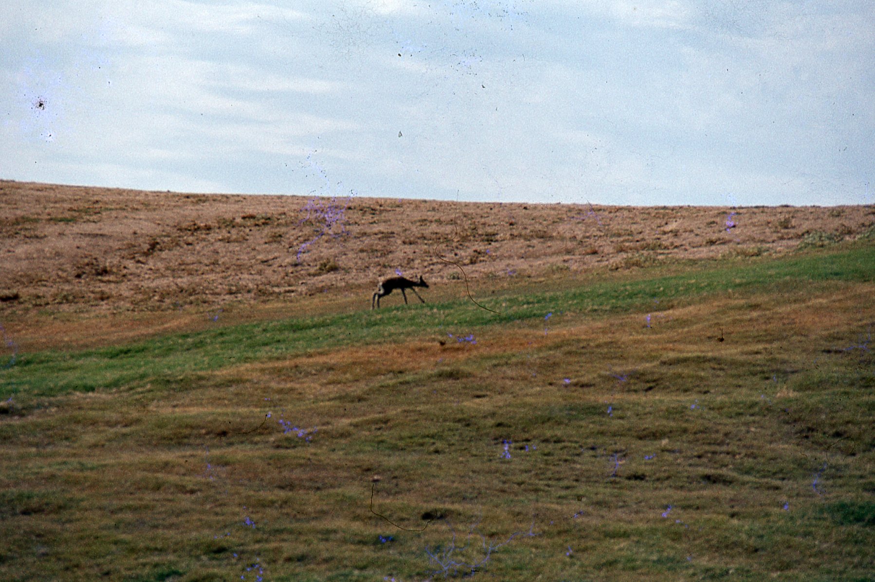 img032.jpg