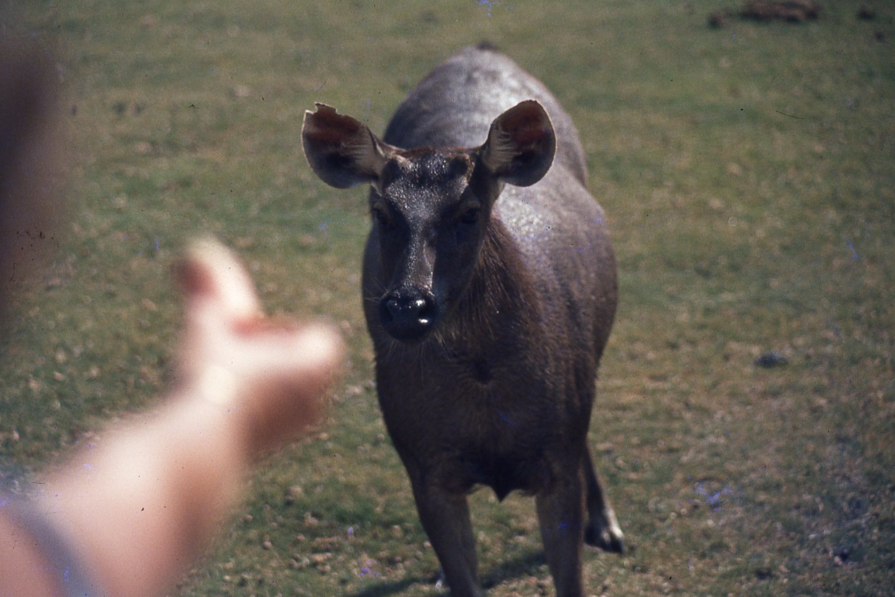 img048.jpg