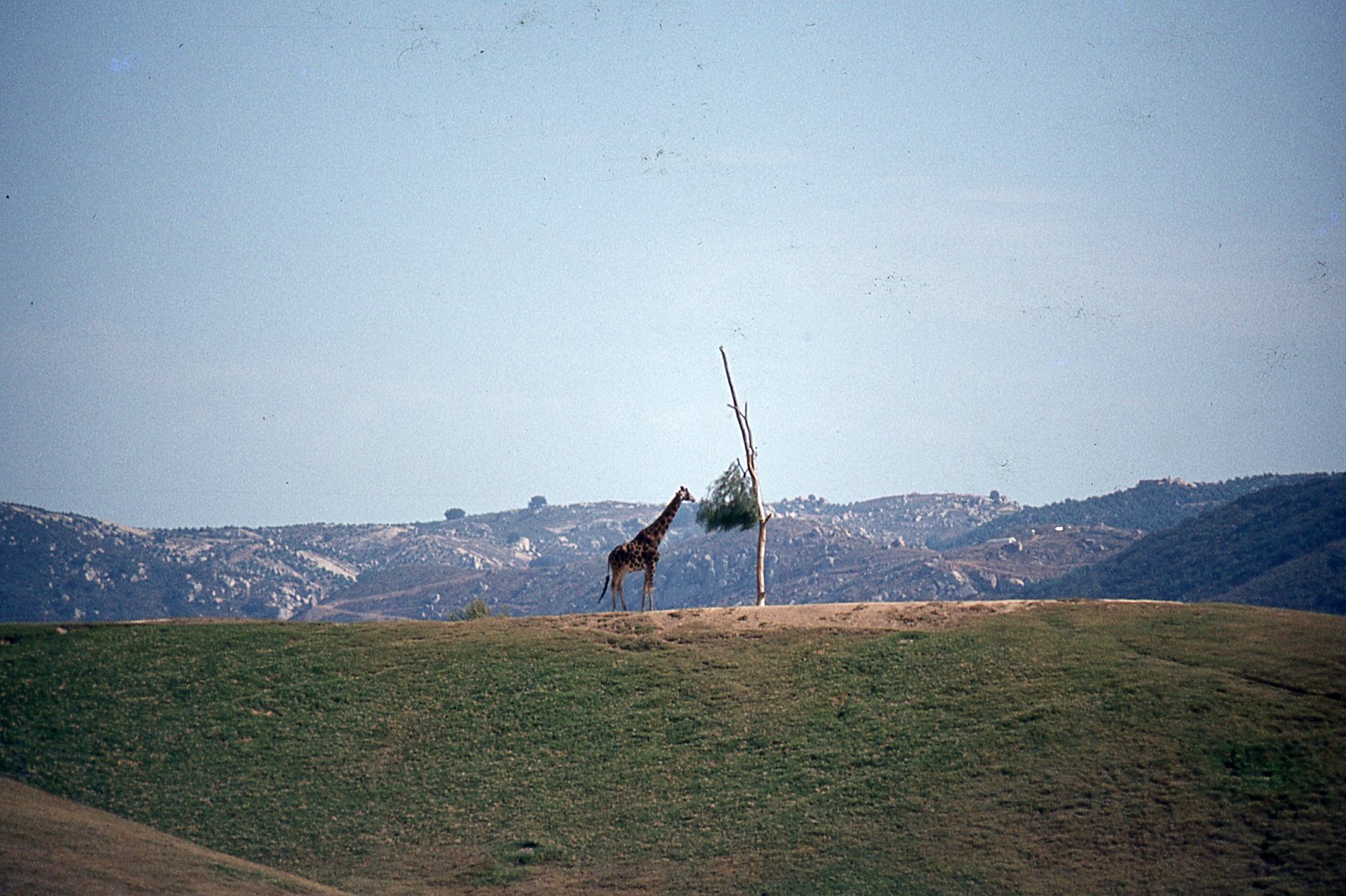 img058.jpg