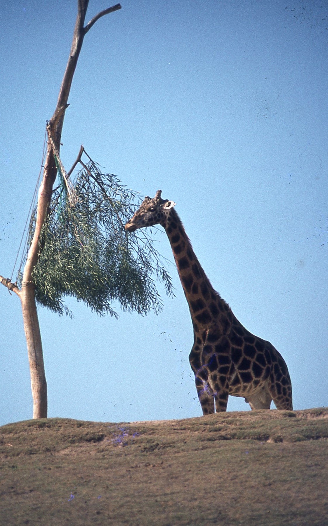 img059.jpg