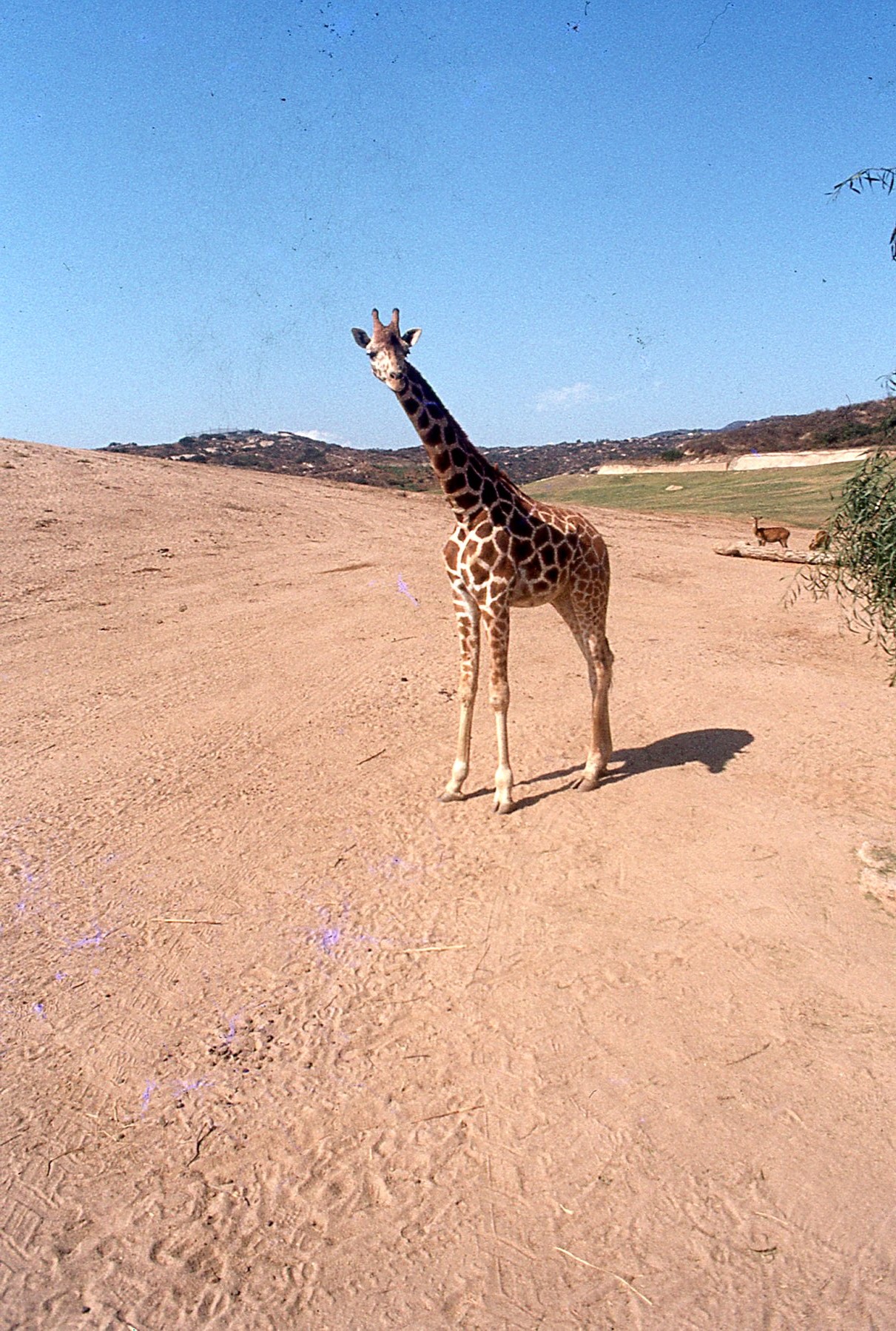 img060.jpg