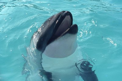 img005.jpg