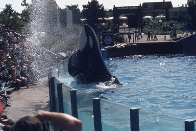 img007.jpg