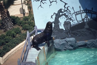 img012.jpg