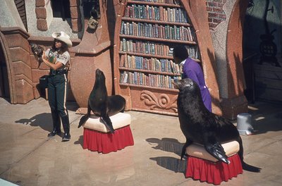 img014.jpg