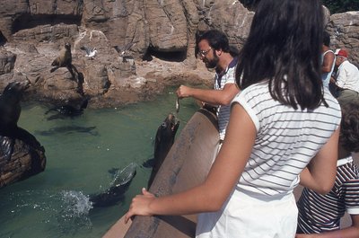 img017.jpg