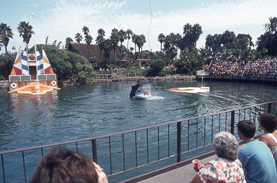 img020.jpg