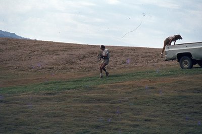 img031.jpg