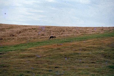 img032.jpg