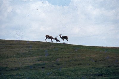 img038.jpg