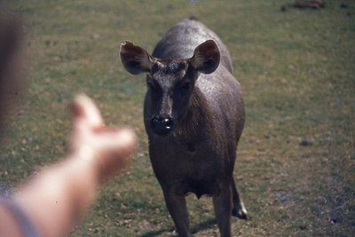 img048.jpg