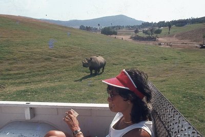img050.jpg