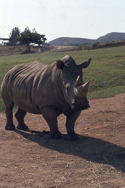 img051.jpg