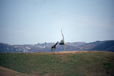 img058.jpg